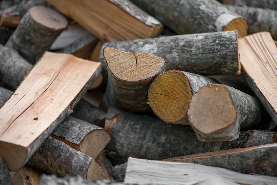 Extérieur, tas de bois de chauffage coupé et fendu, prêt pour le stockage